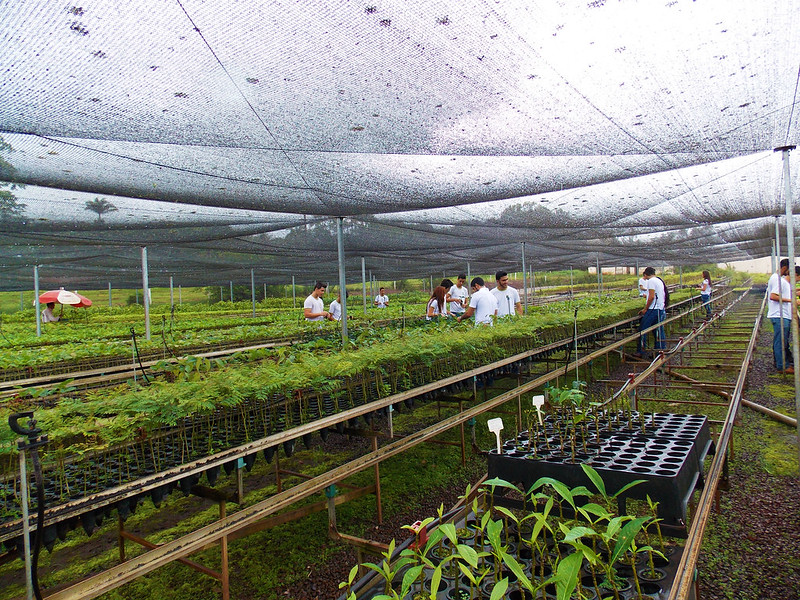 Dezenas de vagas estão disponíveis para técnico e bacharel em Agropecuária na IFTM - Foto: IFTM/ Flickr/ Reprodução