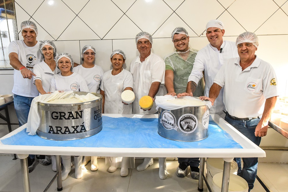 produção do maioro queijo minas artesanal