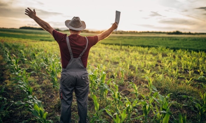 agricultores trabalhando para comemorar o dia do agricultor