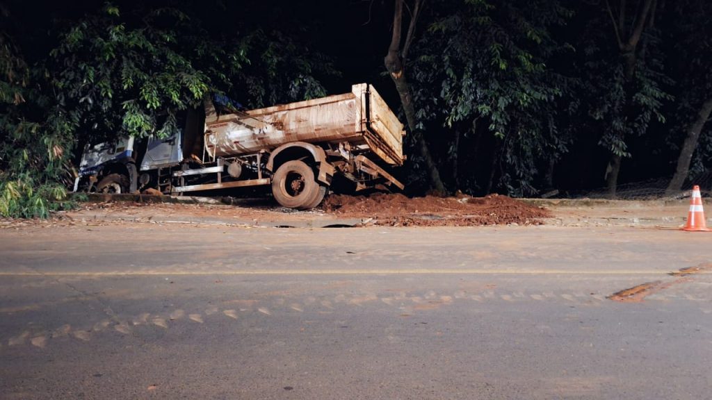 Caminhão caçamba caído em area de vegetação 