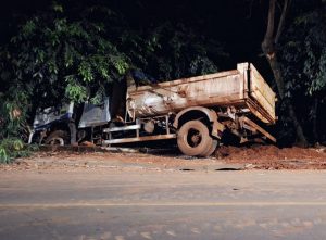 Caminhão caçamba caído em area de vegetação