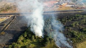 Cerrado, até então, lidera no ranking de incêndios entre os biomas - Foto: Via Drones/ Reprodução