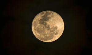 Lua do Veado fotografada