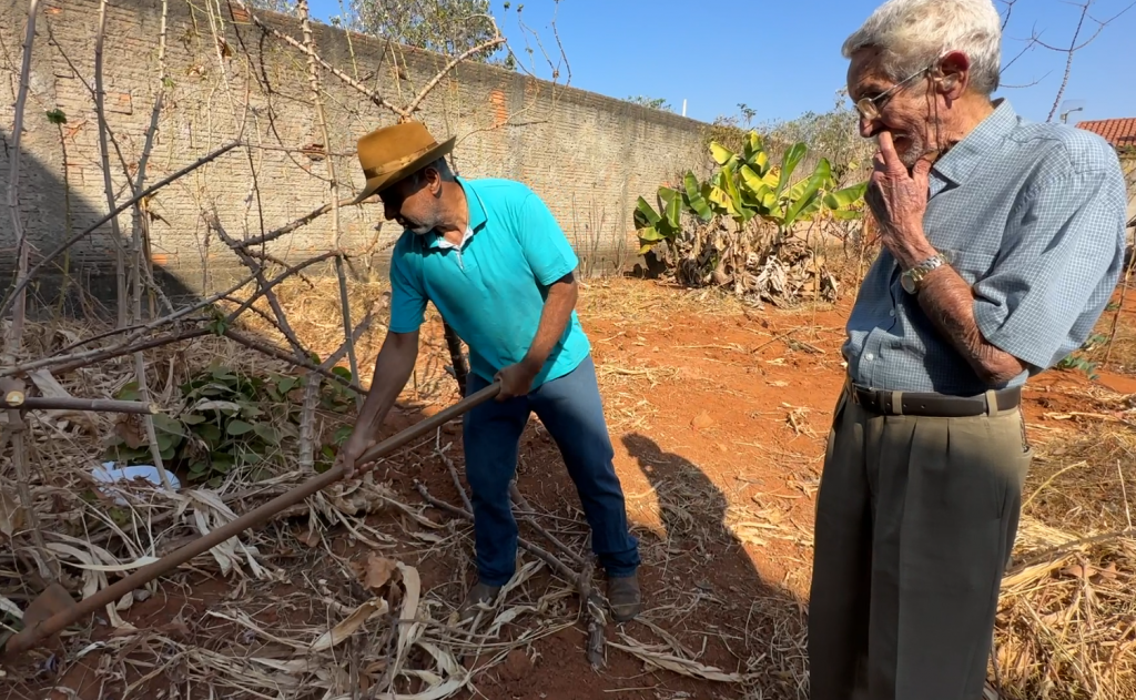 João Maurício e Agostinho na plantação, em Patos de Minas