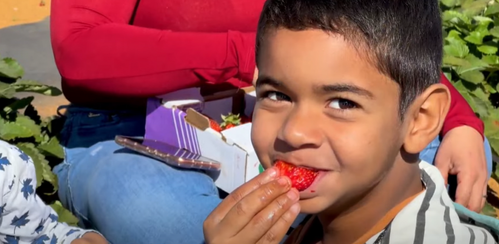 Criança comendo morango e sorrindo para a câmera