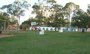 Parque da Alegria em Uberlândia promete Dia das Crianças inesquecível