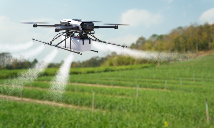 Drone aplicando defensores em plantação.