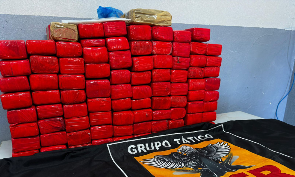 Mais de 53kg de drogas na BR-354 foram apreendidas neste domingo 