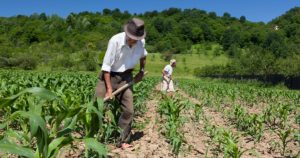 Proprietários de lavoura praticando agricultura familiar