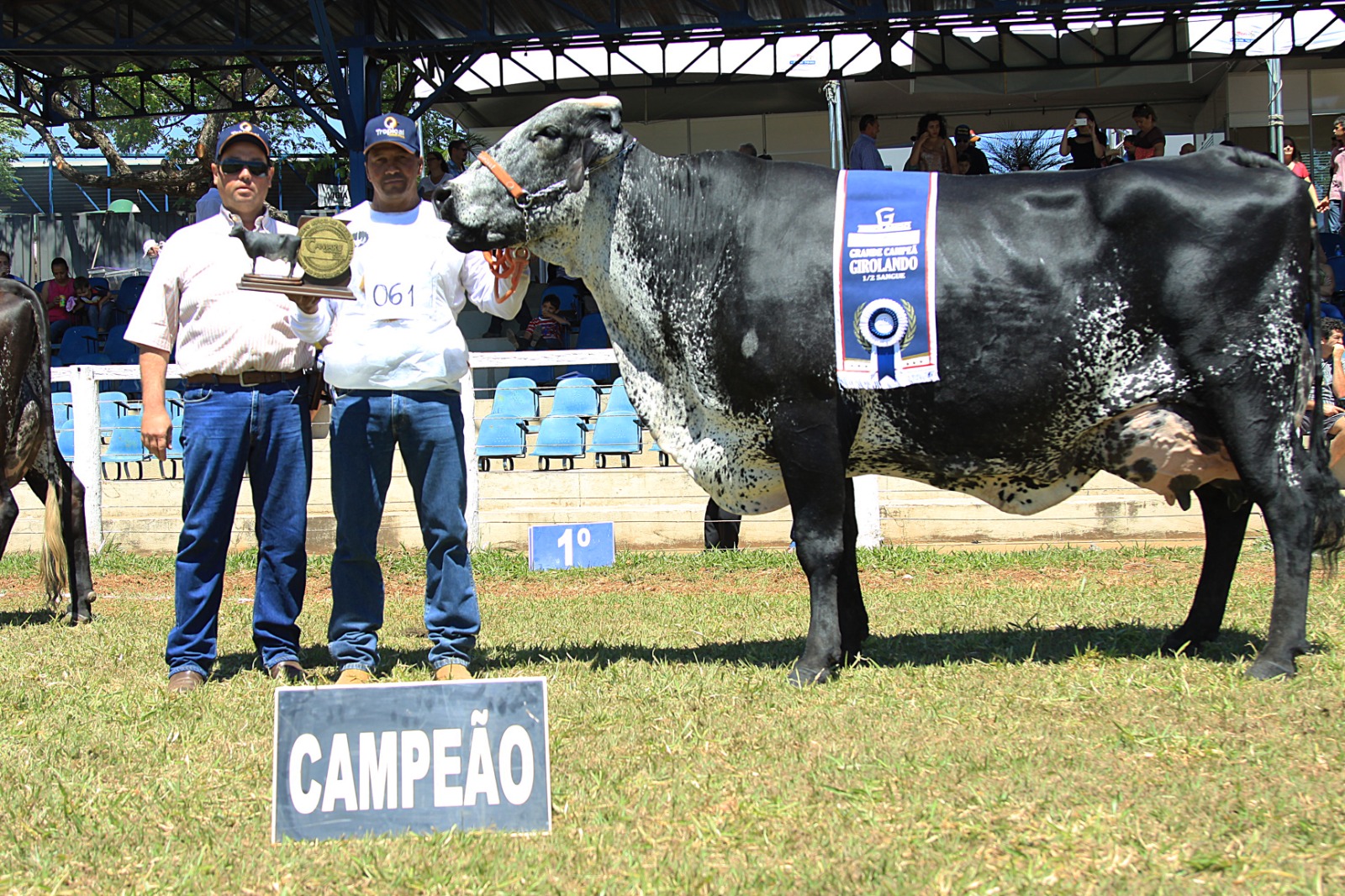 Paralelamente, a Exposição Ranqueada de Girolando também será um dos destaques do Camaru 2024. Foto: Divulgação Camaru