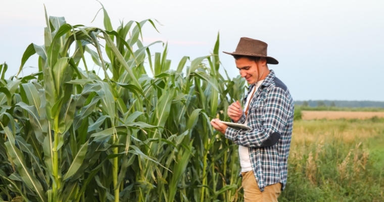 homem do campo olhando oportunidades de credito