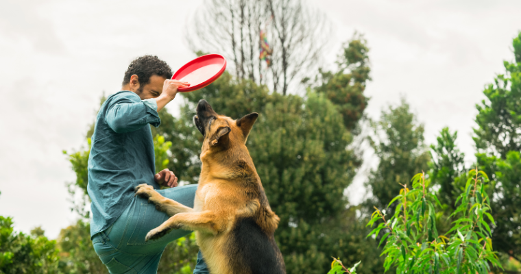 Tutor e animal fazendo exercício