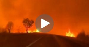 Incêndio no Triângulo Mineiro