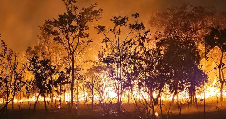 Incêndio florestal em Uberlândia