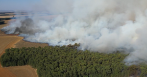 Incêndio na Mata do Lobo, em Uberlândia