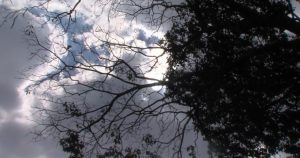 Frio avança em Minas