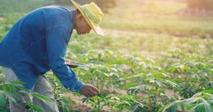 agricultura familiar