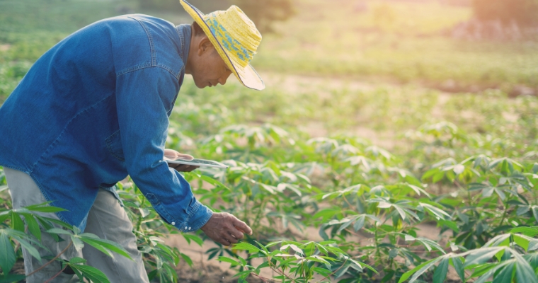 agricultura familiar E BIG DATA