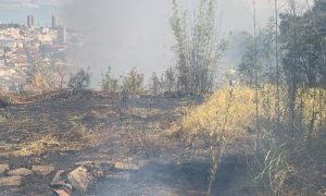 incêndio em área de vegetação em araxá