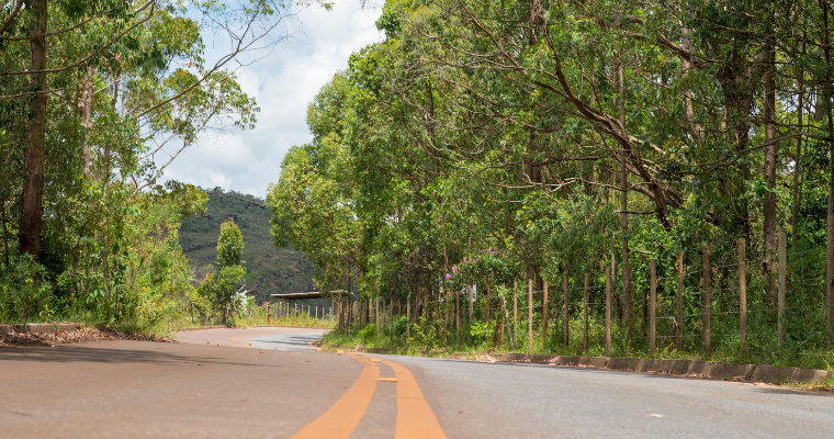 Rodovia com árvores ao redor