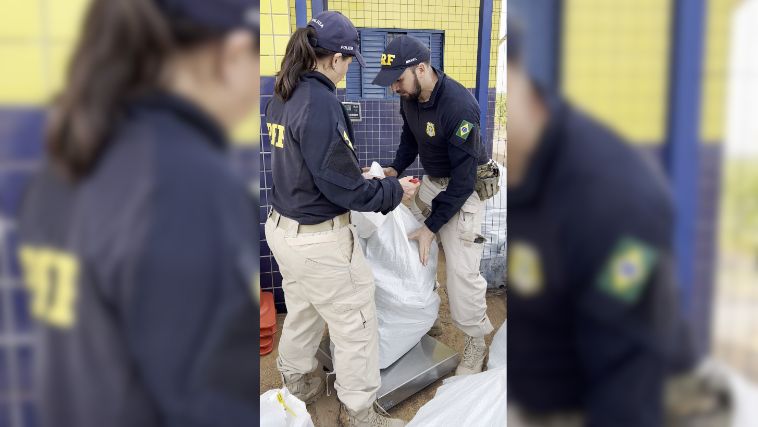 700 kg de maconha