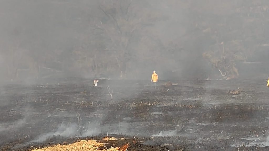 INCÊNDIO NA REGIÃO DO PAU FURADO