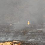 INCÊNDIO NA REGIÃO DO PAU FURADO