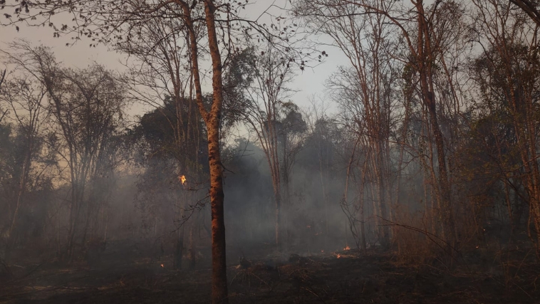 Incêndio no Parque do Pau Furado