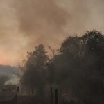 Incêndio no Parque do Pau Furado