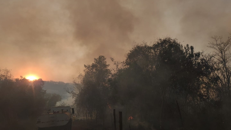 Incêndio no Parque do Pau Furado