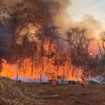 Incêndio no Parque do Pau Furado