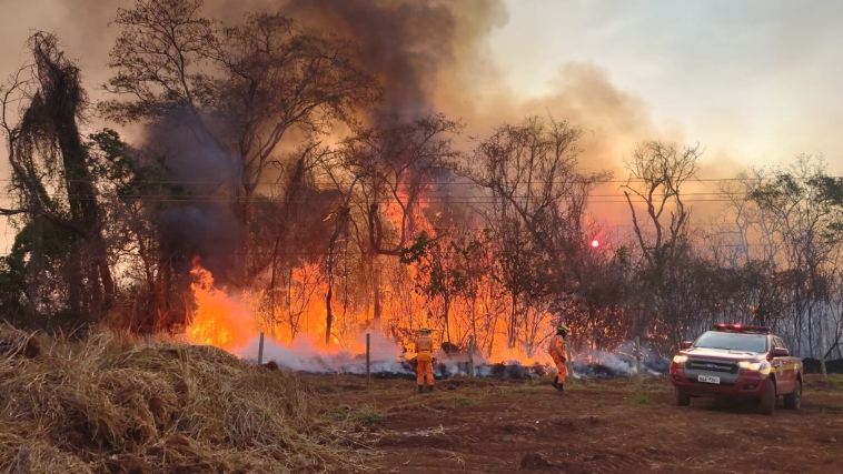 Incêndio no Parque do Pau Furado