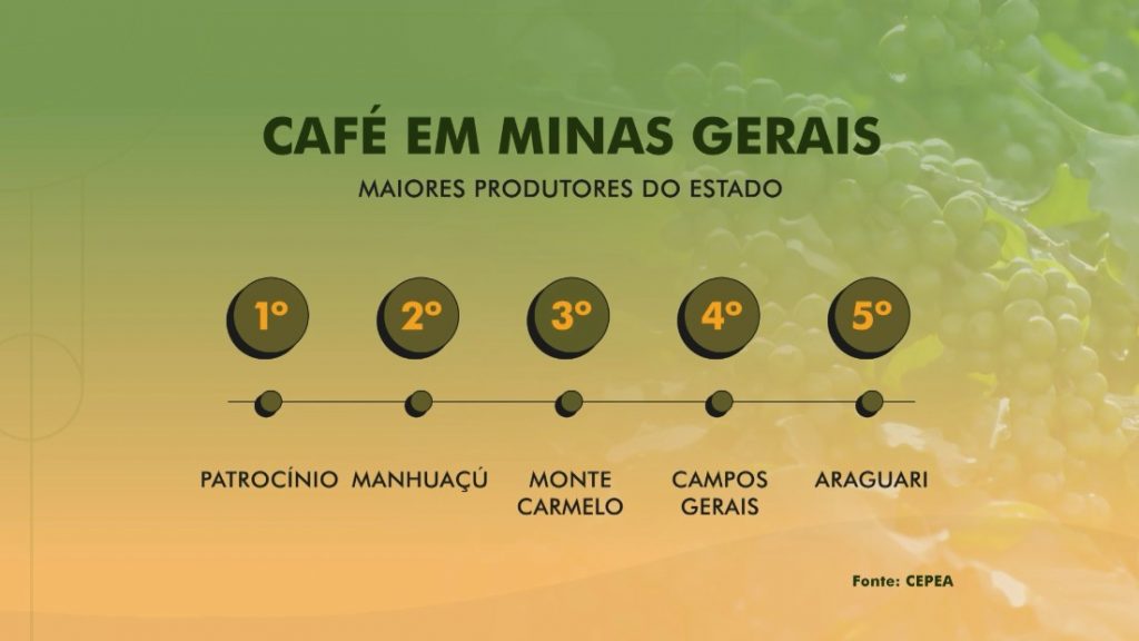 Ranking de produção de café em Minas Gerais. - Crédito: Reprodução TV Paranaíba