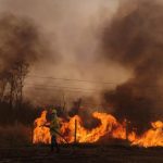 Incêndio no Parque do Pau Furado