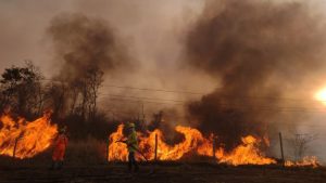 Incêndio no Parque do Pau Furado