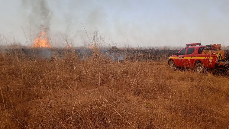 Incêndio em vegetação