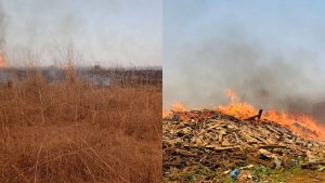 Incêndio atinge vegetação