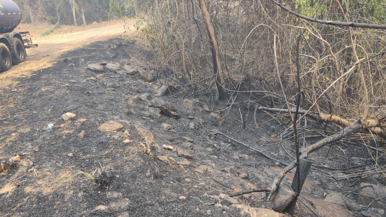 Incêndio no Parque Estadual do Pau Furado