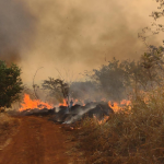 Incêndio no Parque Estadual do Pau Furado