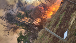 Incêndio no Parque Estadual do Pau Furado