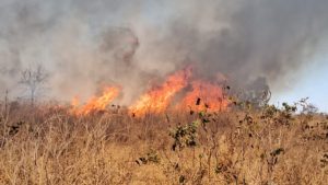 Moradores da Fazenda Nova Tangará pedem ajuda para acabar com o fogo. - Foto: Alessandra Fernandes