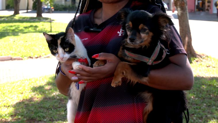 Observar os sintomas doas animais é essencial para identificar a doença quanto antes - Foto: TV Paranaíba/Reprodução