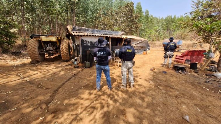 trabalhadores são resgatados de carvoaria em Guimarânia 