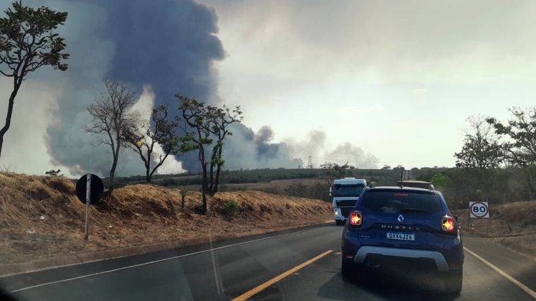 UFU suspende aulas após incêndio criminoso próximo ao campus em Ituiutaba - Crédito: Redes Sociais/ Reprodução