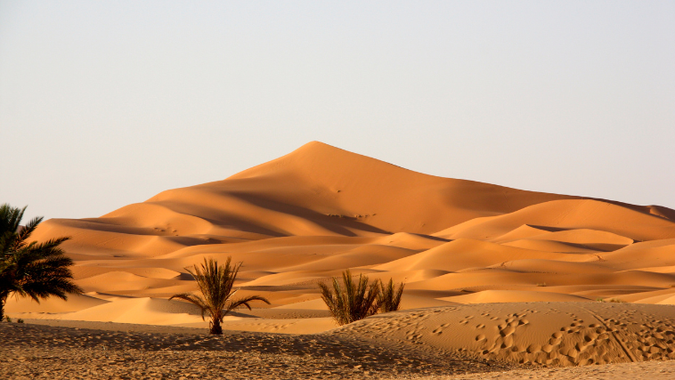 Deserto do saara