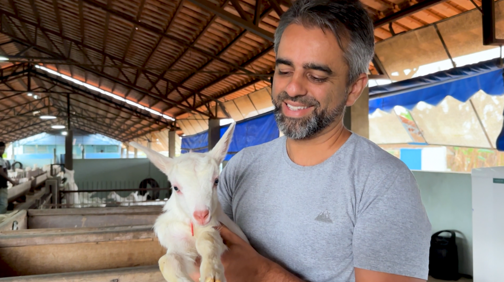 O segredo do queijo de cabra fabricado no coração do Alto Paranaíba 