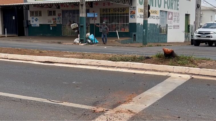 Motorista perde controle do carro e arranca palmeira na avenida de Patos de Minas