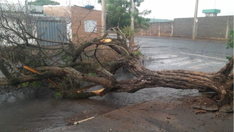 Temporal em Uberlândia