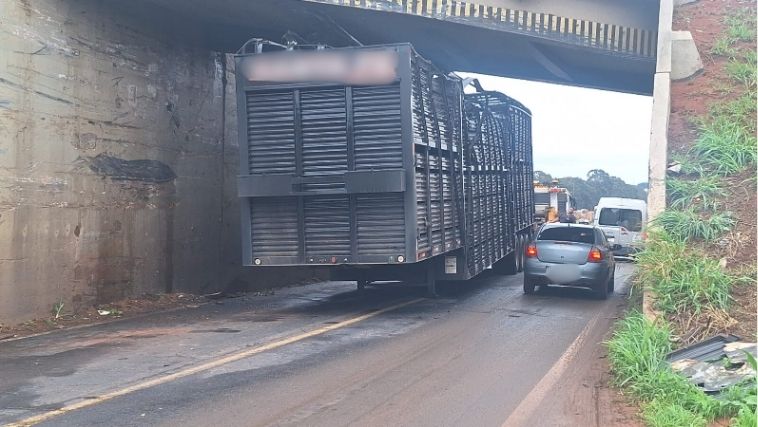 Carreta boiadeira pontilhão