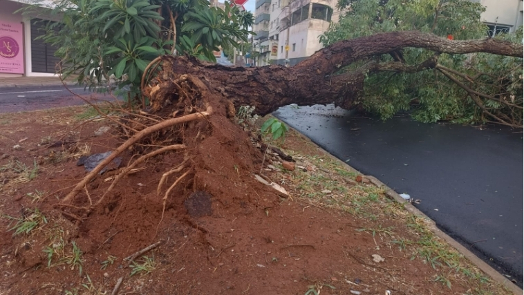 Chuva em Uberlândia